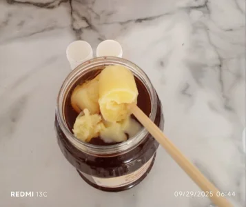 مخلوط 40 گرم ژل رویال با 250 گرم عسل