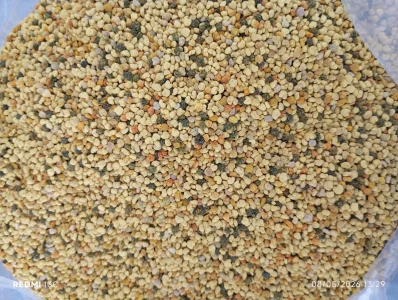گرده گل 